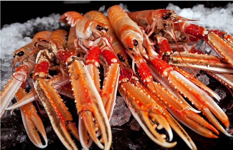 GAMBA RESTAURANT Opening Hours Reviews Location Seafood